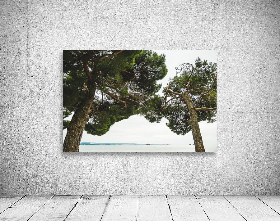 Trees Wall Preview