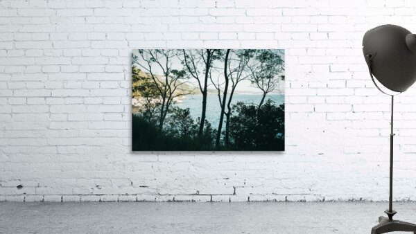 Trieste Shore Wall Preview