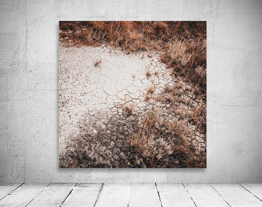 Desert Land Wall Preview