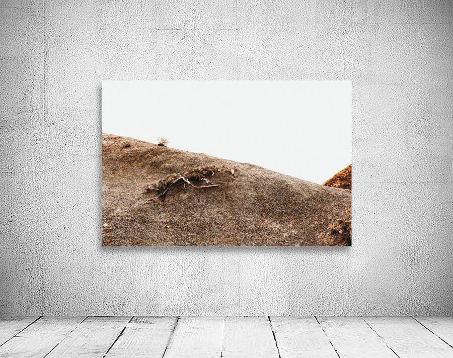 Desert Wall Preview
