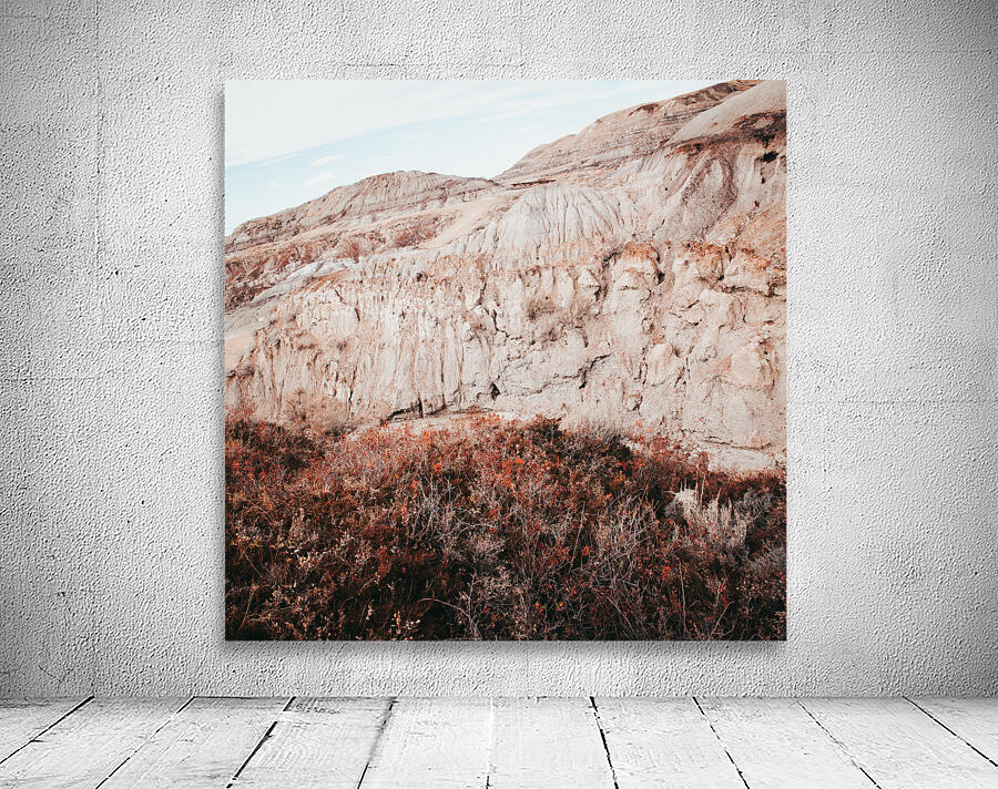 Drumheller Shrubs Wall Preview