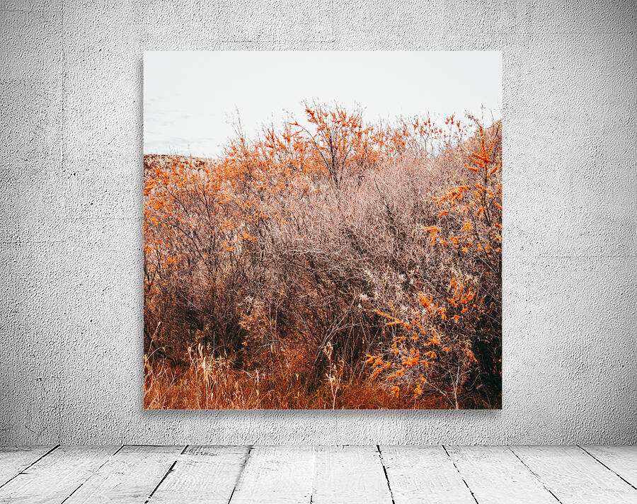 Orange Shrubs Wall Preview