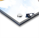 DSC 0441 Acrylic print