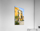 DSC 0479 Acrylic Print