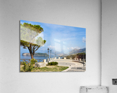 DSC 0417 Acrylic Print