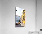 DSC 0441 Acrylic Print