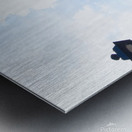 DSC 0441 Metal print