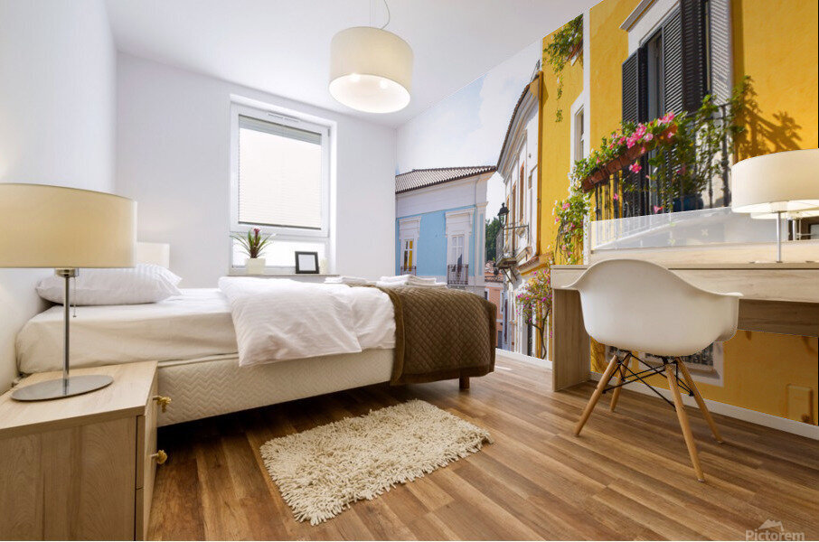 DSC 0441 Mural print