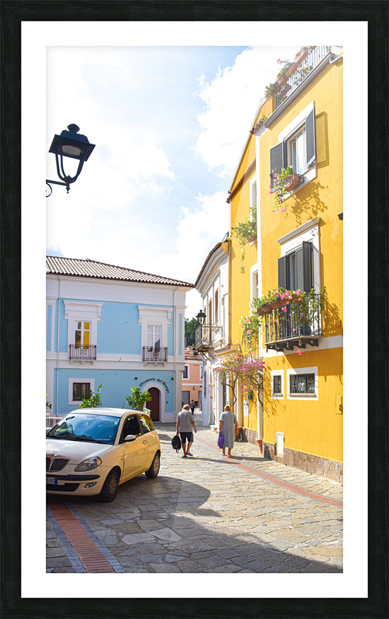 DSC 0441 Picture Frame print