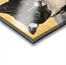 Dramatic Cat  Acrylic print