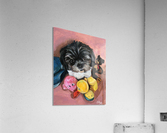 Coco1 Acrylic Print