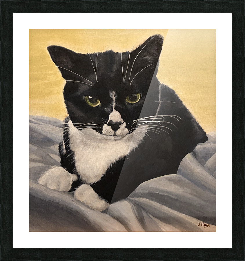 Dramatic Cat  Picture Frame print