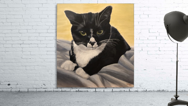Dramatic Cat  Wall Preview