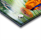 Saffron in the paddy fields Acrylic print
