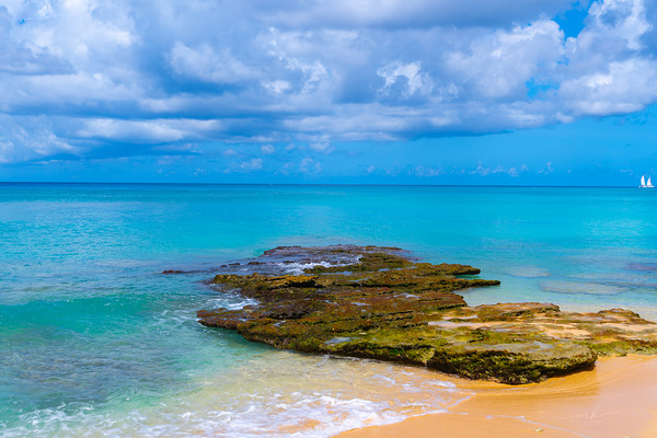 Where the Horizon Whispers Digital Download