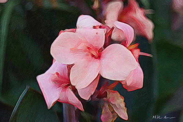 Whispers of Renewal Téléchargement Numérique