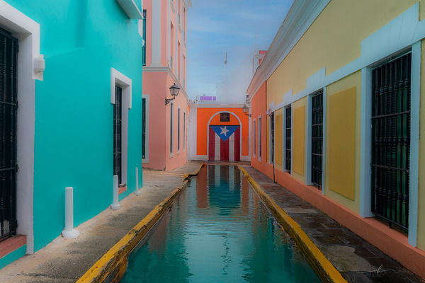 Alley of Pride and Reflection Digital Download