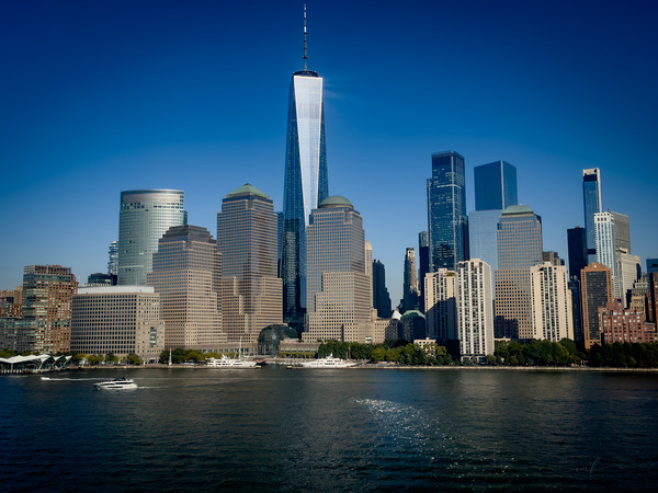 Resilience Rising Digital Download