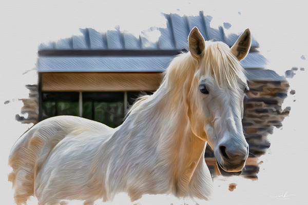 Keeper of Quiet Light Digital Download