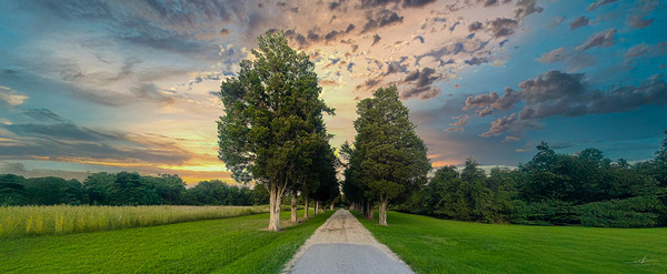 Pathway to Serenity Digital Download