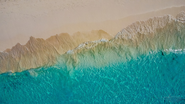 Summer Love Digital Download