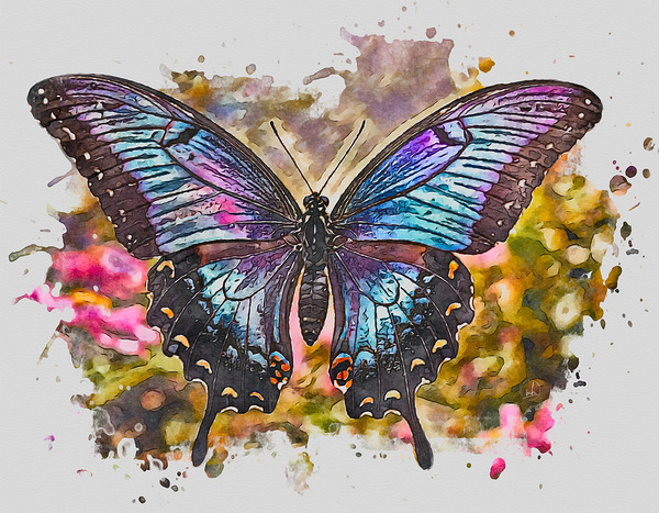 Awakened Wings Digital Download