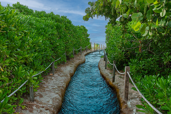 Path of Stillness Digital Download