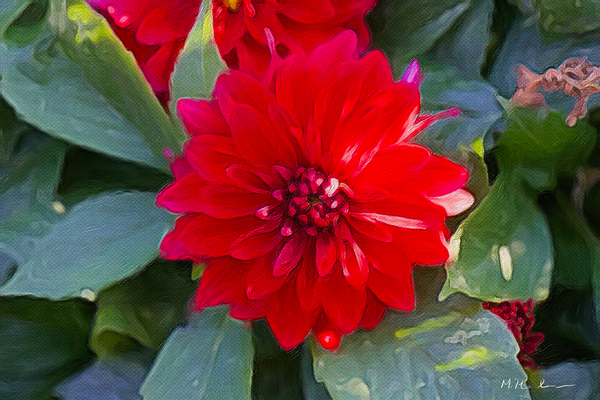 Crimson Grace Digital Download