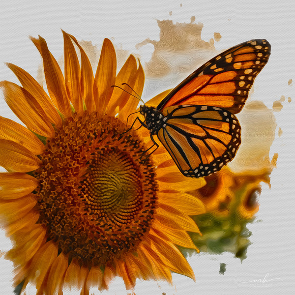 Grace in Bloom Digital Download