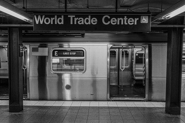 Terminus of Echoes Digital Download