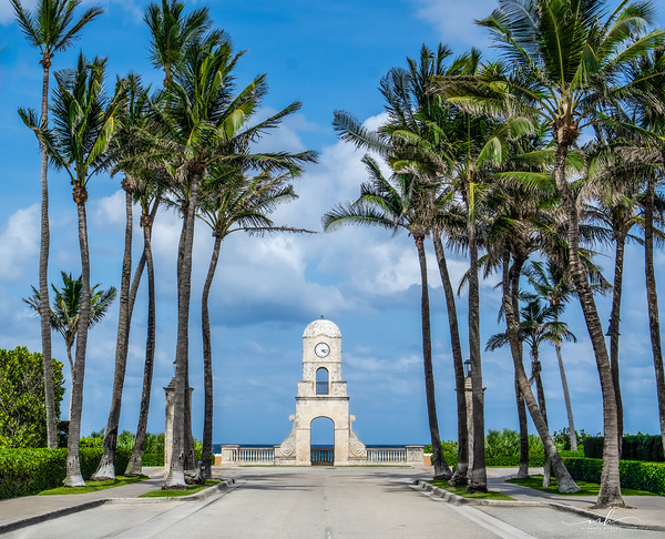 Palm Gate to the Atlantic Digital Download