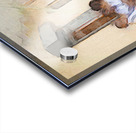 Afternoon Break Acrylic print