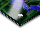 Azure Elegance Acrylic print