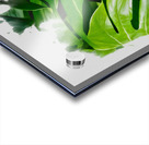 Still Verdant Acrylic print