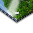 Path of Stillness Acrylic print