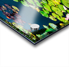 Whispers Beneath the Surface Acrylic print