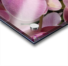 Whispers of Grace Impression Acrylique