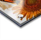 Grace in Bloom Acrylic print