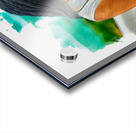 Beneath the Braids Acrylic print