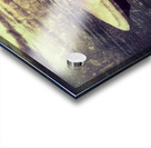 Drift into Dusk Acrylic print