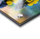 Whispers of Bloom and Light Acrylic print