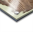 Temple of Resolve Acrylic print