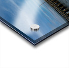 Serenity Interrupted Acrylic print