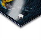 Rainforest Majesty Impression Acrylique