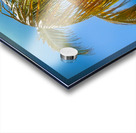 Miami Palm Acrylic print