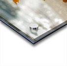 Tethered Light Acrylic print