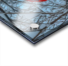 Cardinal in Winter Acrylic print