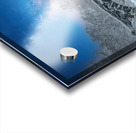 Stillness Beneath the Winter Bridge Acrylic print