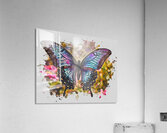 Awakened Wings Acrylic Print