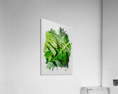 Still Verdant Acrylic Print